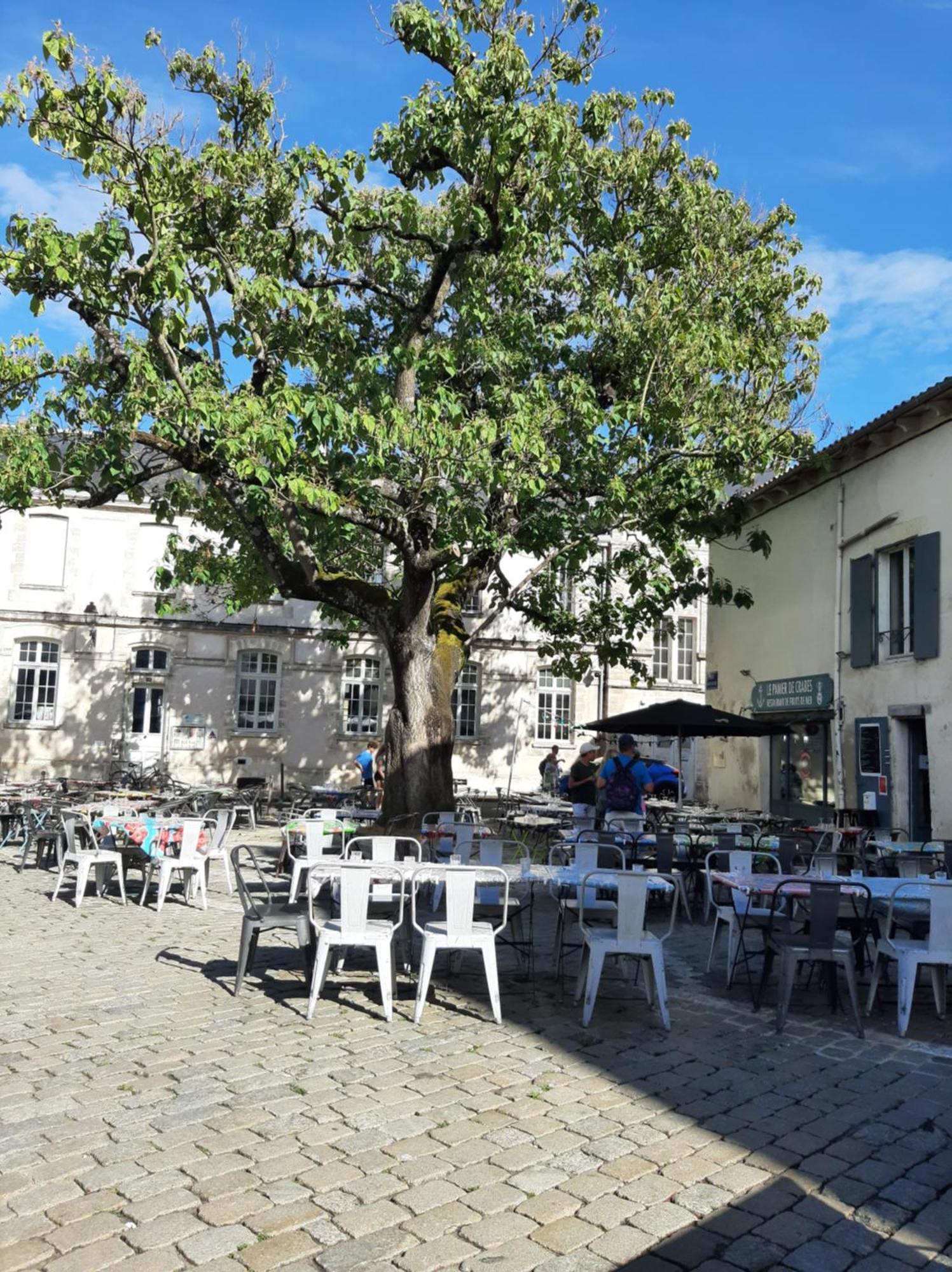 Comtesse Daire La Rochelle  Dış mekan fotoğraf